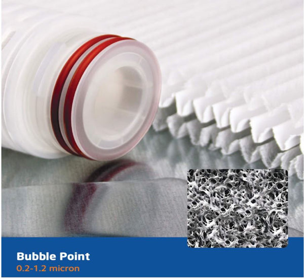 SC20ZH : SPECTRUM Bubble Point Pleated PES Filter 0.65µm 20