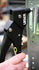 files/0686_Insitu_2.jpg