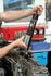 files/6092_InSitu_4.jpg